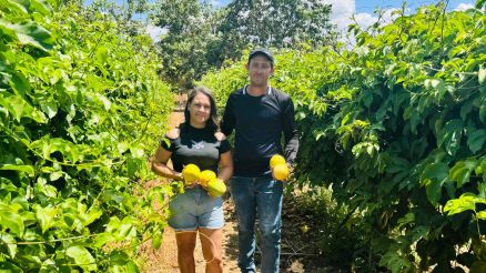 Casal cultiva maracuj em Confresa 