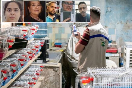 ngela, Mirtes, Thyago, Herleno e Caio que atuavam em canil clandestino 