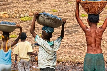 A estimativa sinaliza um leve aumento em relao a 2023