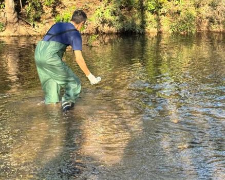 A Secretaria de Estado de Meio Ambiente (Sema-MT) analisou a qualidade da gua em 41 pontos utilizados por banhistas para fins recreativos em rios e crregos