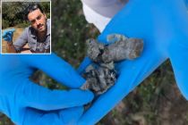 Pesquisadores encontram plstico em fezes de ona-pintada 