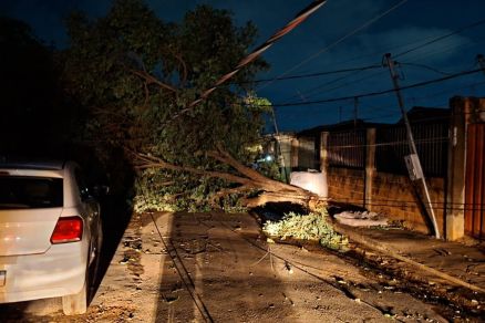rvore que caiu aps vendaval em Vrzea Grande; Prefeitura fez fora-tarefa 