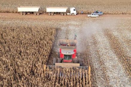 Grupo do agro busca reestruturar dvidas estimadas em mais de R$ 71 milhes