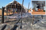 Aldeia  destruda por fogo aps criana brincar com isqueiro