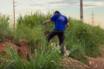 Corpo com marcas de tortura  encontrado na Imigrantes 