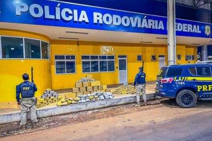 A polcia identificou entre os caixotes de inhame, caixas ocultando 230 tabletes de skunk, uma variao de maconha com alto teor de concentrao psicoativa