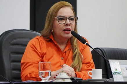 A presidente da Casa Paula Calil, que votou favorvel ao texto