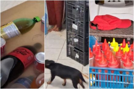 Os fiscais constataram diversas infraes sanitrias, incluindo a presena de ces circulando prximos aos alimentos 