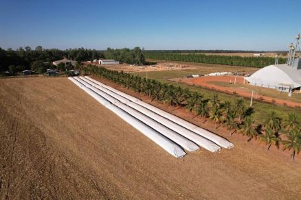 Em MT, agricultores buscam alternativas aos armazns e preservam produo de milho dentro do 