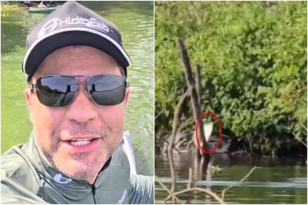 Anderson Guedes mostra pacus se alimentando no interior de MT