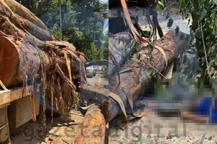 A tora de madeira caiu sobre Wheverton Fellipe enquanto ele trabalhava 