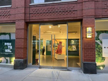 A mostra, que segue at domingo (02.11), transforma o bioma em arte viva, reunindo fotografia, gastronomia, msica e debates 