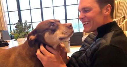 Tom Brady com a cachorra Luna, falecida em 2023 