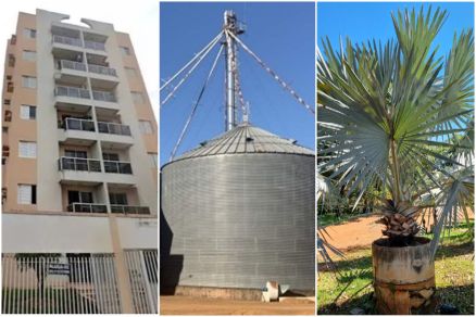 Apartamento, prpriedade rural e palmeira  disponveis em Leilo do TRT-MT