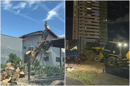 Poda drstica de rvore prximo a Shopping de Cuiab 