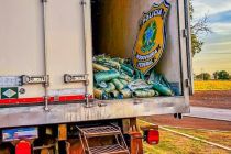 PRF apreende mais de uma tonelada de skunk em Rondonpolis