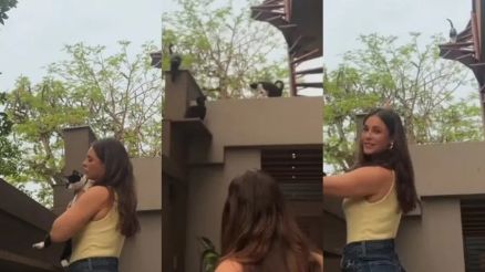 Casa de Paolla Oliveira tem estrutura feita para gatos, com escada no telhado