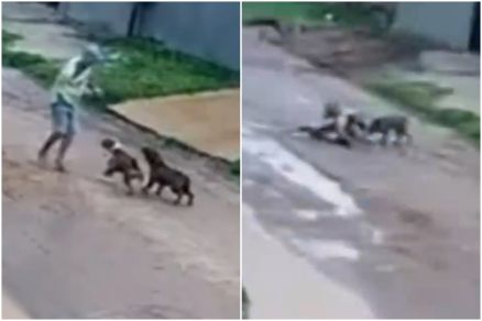 Cmeras flagraram ataque e vizinhos tentando ajudar a vtima