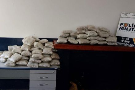 Foram apreendidos pela polcia 92 tabletes de skunk, conhecida como supermaconha,