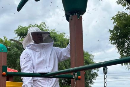 Militar do Corpo de Bombeiros durante ao com insetos em MT