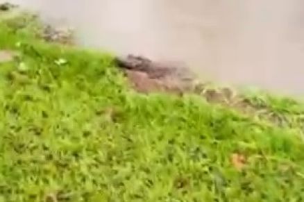 Imagem mostra Jacar aps tempestade alagar as ruas de Sinop 