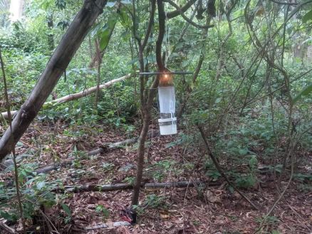 O treinamento teve como foco aprimorar a deteco precoce de arboviroses zoonticas como febre amarela, febre do Nilo Ocidental e febre do Oropouche