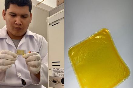 Os biopl�sticos com �leo de pequi tiveram excelentes avalia��es quanto a permeabilidade, opacidade e resist�ncia mec�nica