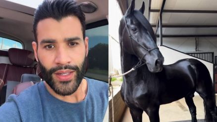 Gusttavo Lima mostrou cavalo holand�s que pode custar at� R$ 2,5 milh�es