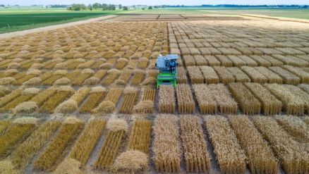 Fazenda em Mattoon localizada no cintur�o de produ��o de milho dos EUA, o chamado �Corn Belt�