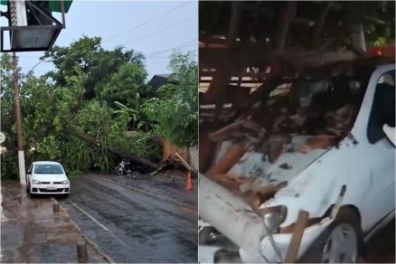 �rvore ca�da e carro atingido por telhas ap�s temporal em Santo Ant�nio de Leverger 
