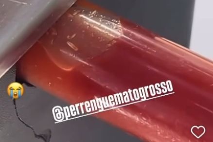 Consumidora filmou aus�ncia sanit�ria e denunciou caso na internet 