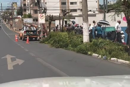 Trecho de v�deo mostra poda dr�stica em Cuiab� 