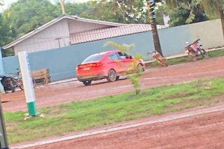 Ve�cuylo foi recuperado ap�s tentativa de latroc�nio em Mato Grosso 