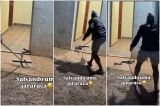 V�deo viraliza ao mostrar jararaca sendo retirada de banheiro em MT