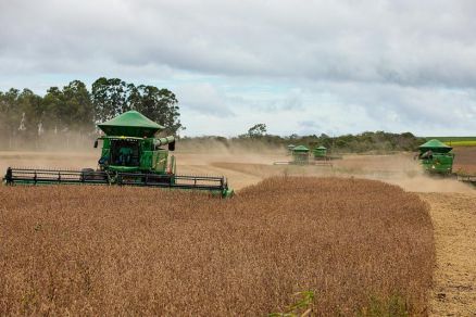 A �rea cultivada em Mato Grosso alcan�a 22,76 milh�es de hectares, crescimento de 2,1% em rela��o � safra anterior 
