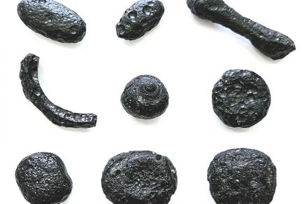 Os fragmentos foram detectados nos munic�pios de Taiobeiras, Curral de Dentro e S�o Jo�o do Para�so, em Minas Gerais