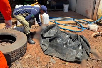 Trabalhador morre ap�s explos�o de pneu de carreta em fazenda