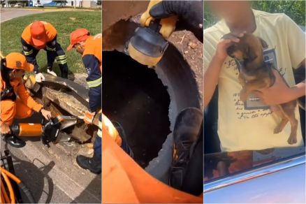 Militares do Corpo de Bombeiros, que resgataram filhote de cachorro em bueiro 