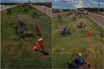 Paisagismo tem in�cio no Parque Novo Mato Grosso, na regi�o de Cuiab� 