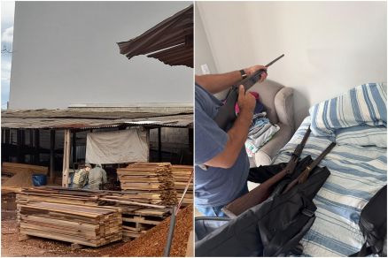 Empresas movimentavam notas florestais fraudulentas para realizar o transporte de esp�cies de madeira proibidas por lei