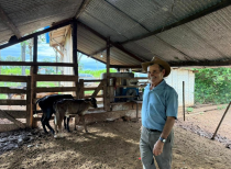 "Temos a chance de melhorar a gen�tica do nosso gado leiteiro", afirma produtor 