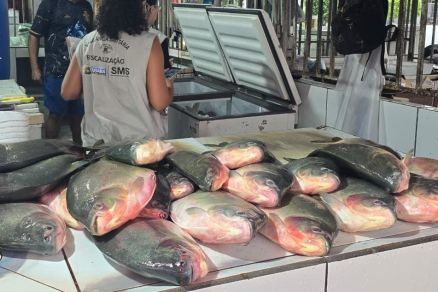 Pescado irregular � apreendido em feira de Cuiab� nesta ter�a-feira (24)