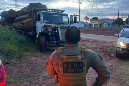 Caminh�o com toras de madeira ilegais � apreendido em MT 