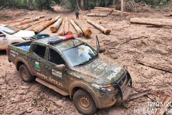 Batalh�o Ambiental da PM apreende madeira ilegal durante fiscaliza��o