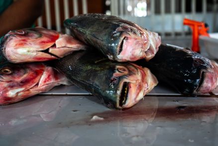 Vendedores t�m  prazo  para se cadastrar e garantir ponto de venda 