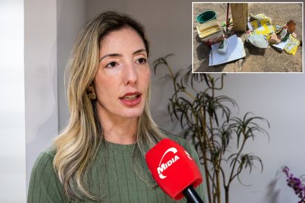 A secret�ria de Ordem P�blica, Juliana Palhares, e os materiais apreendidos por fiscais (no detalhe)