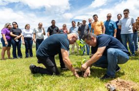 Parceria entre Prefeitura e Governo garante plantio de 10 mil �rvores