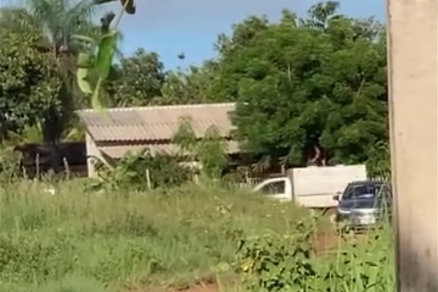 Jovem de 18 anos � encontrado sem vida em regi�o de mata em C�ceres