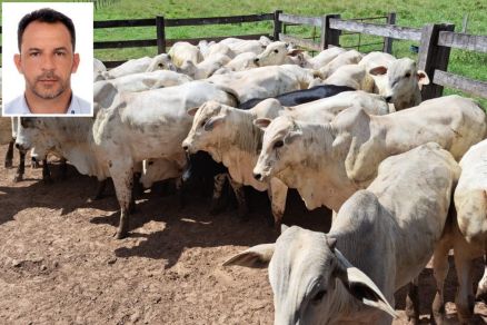 O vereador Wender Greg�rio de Lima (no detalhe) e a imagem dos animais que foram levados de fazenda