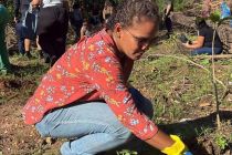 Iteec Brasil promove trote ecol�gico com plantio de mudas